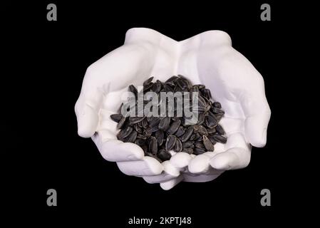 Hand of a person holding sunflower seeds in it`is hand. Checking sunflower grain, high-quality seeds Female hands holds a sunflower seeds isolated on Stock Photo